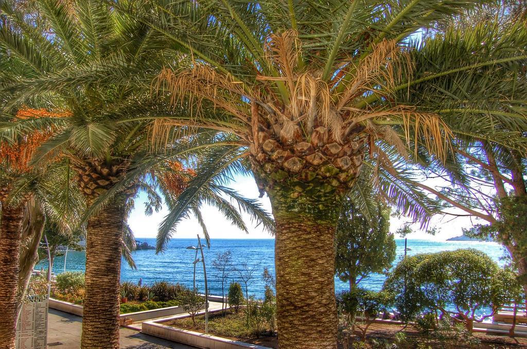 Vasiliki Seaside Apartments Petrovac Kültér fotó